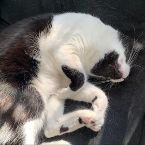 Meet your Posher, Jonas